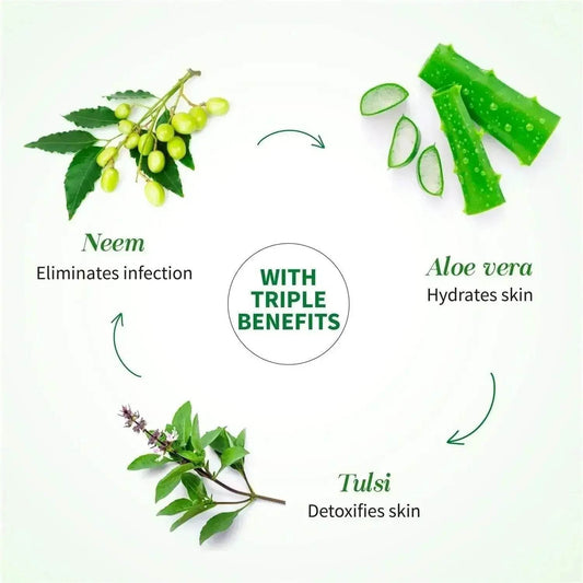 Ayouthveda Aloe Vera Gel – Multipurpose Hydrating Gel for Face, Body & Hair | Non-Greasy Formula with Neem, Tulsi & Cucumber | Soothes Sunburn & Evens Skin Tone | 100g